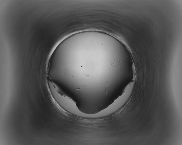 X0000082961532200703020201