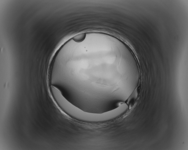 X0000082961533200703020201