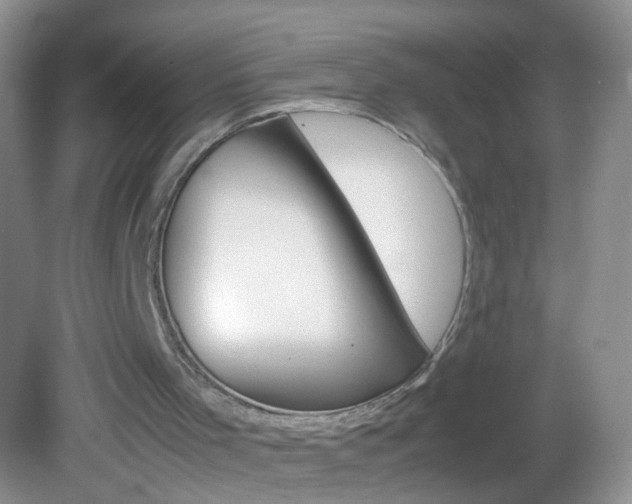 X0000082970001200702011154