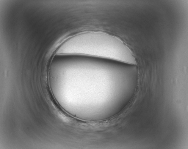 X0000082970005200702011154
