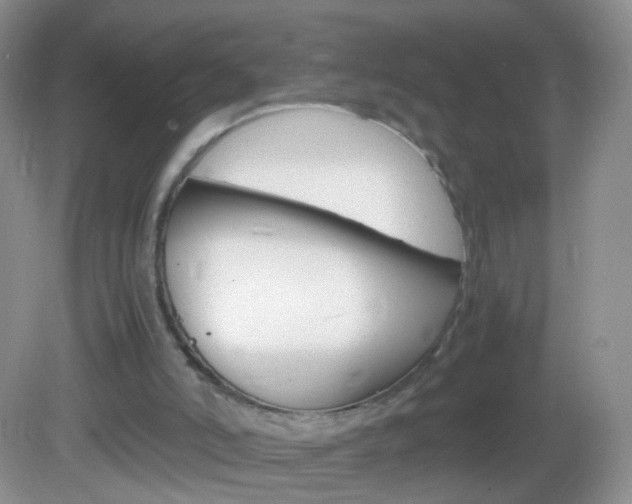 X0000082970006200702011154