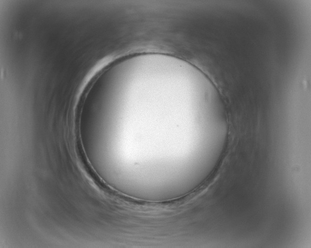 X0000082970008200702011154