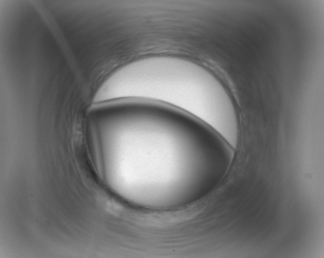 X0000082970017200702011154
