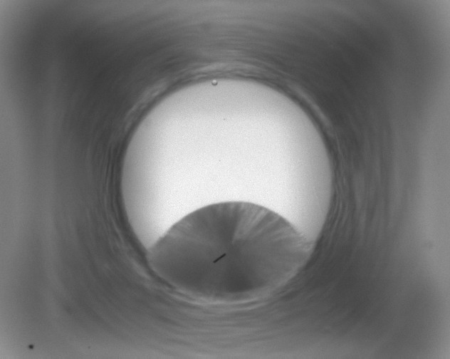 X0000082970023200702011154