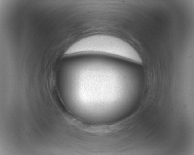 X0000082970029200702011154