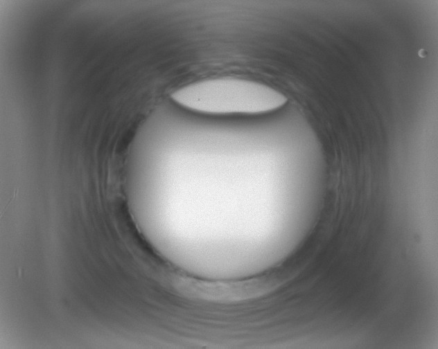 X0000082970030200702011154