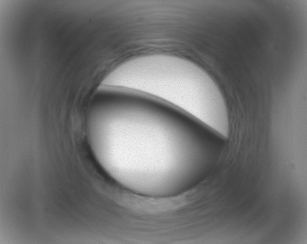 X0000082970031200702011154