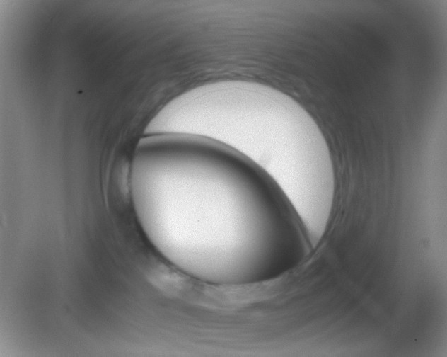 X0000082970041200702011154