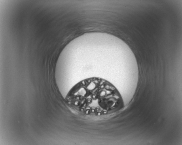 X0000082970045200702011154