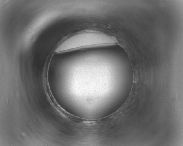 X0000082970052200702011153