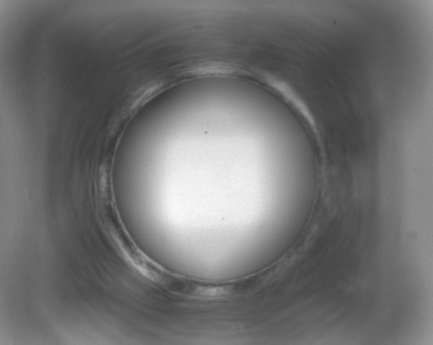X0000082970057200702011153