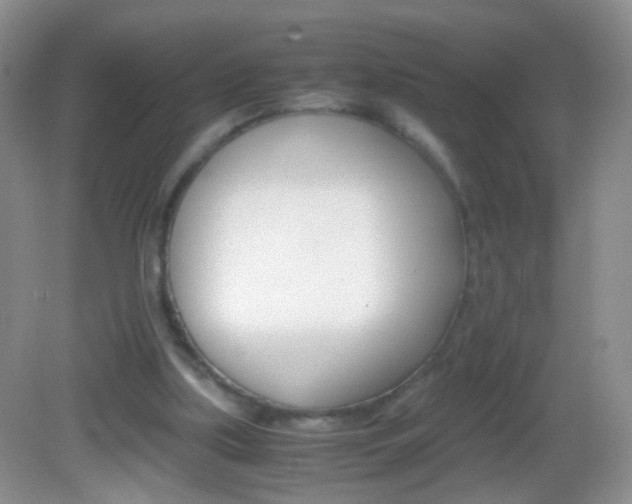 X0000082970059200702011153