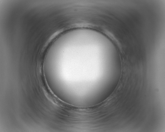 X0000082970060200702011153