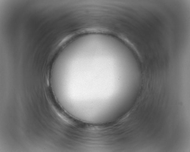 X0000082970062200702011153