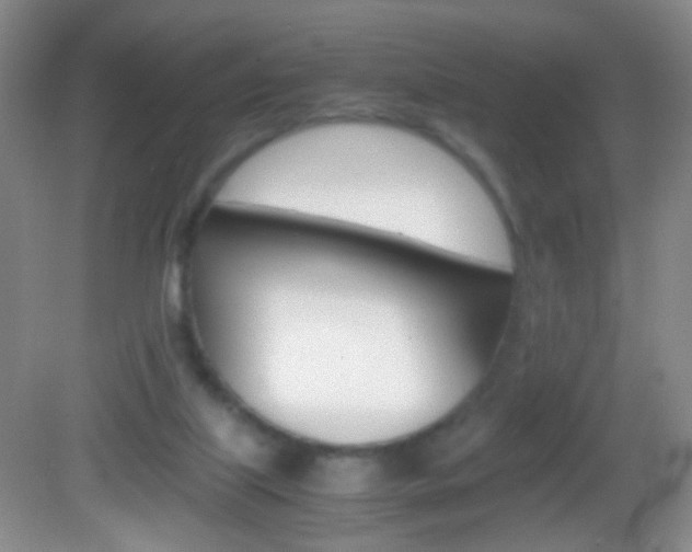 X0000082970067200702011153