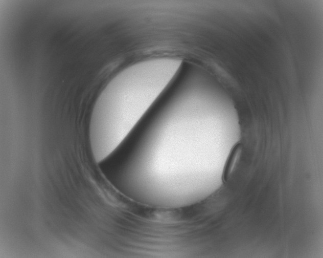 X0000082970070200702011153