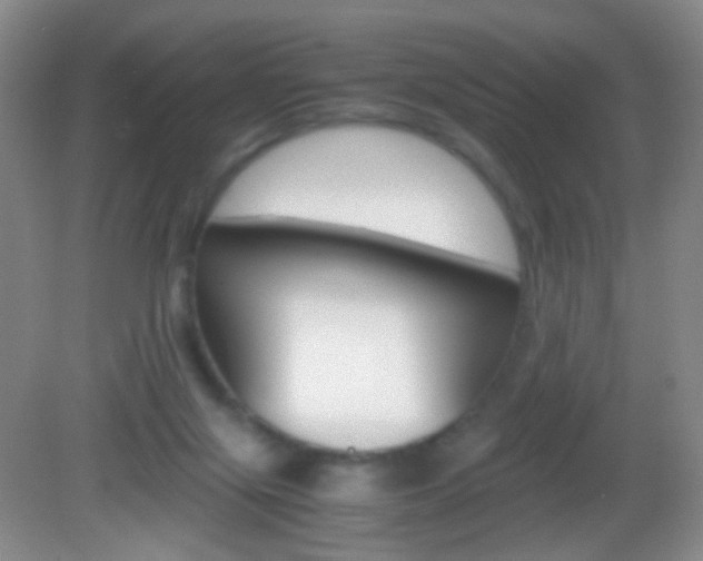 X0000082970071200702011153