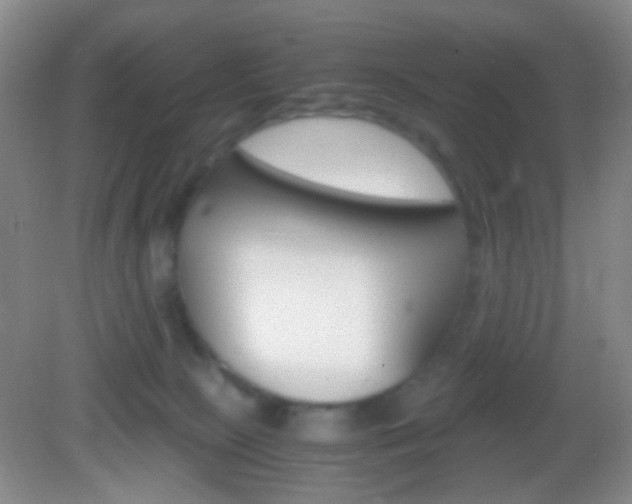 X0000082970081200702011153