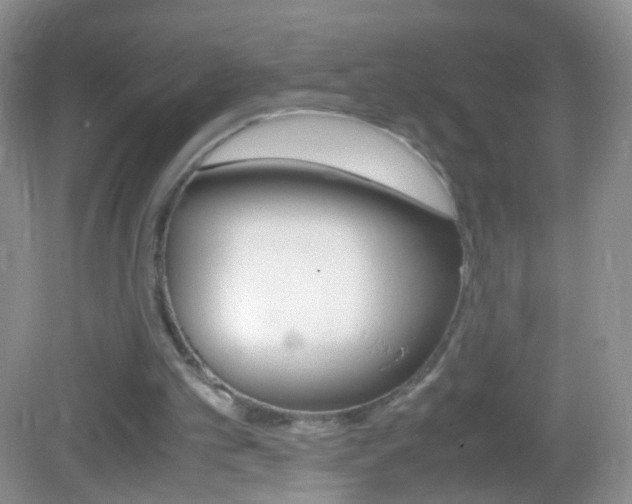 X0000082970101200702011153