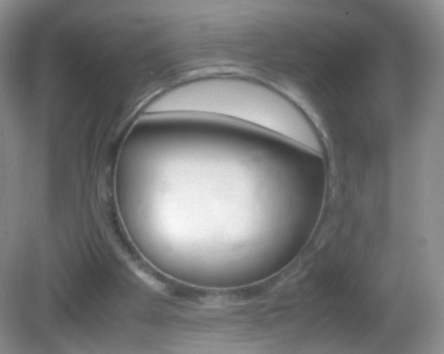 X0000082970105200702011153