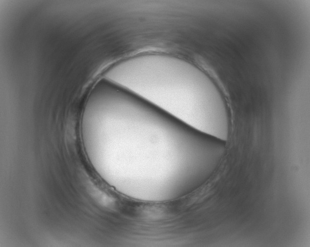 X0000082970106200702011153