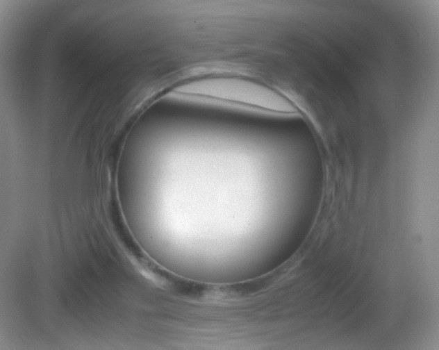 X0000082970109200702011152