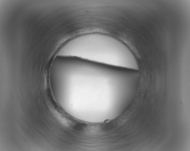 X0000082970110200702011152