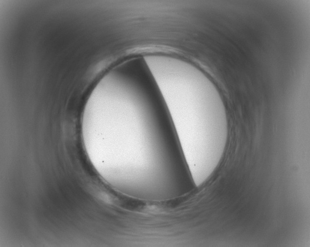 X0000082970111200702011152
