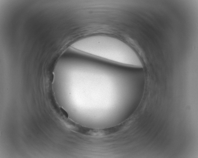 X0000082970113200702011152