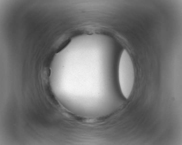 X0000082970121200702011152