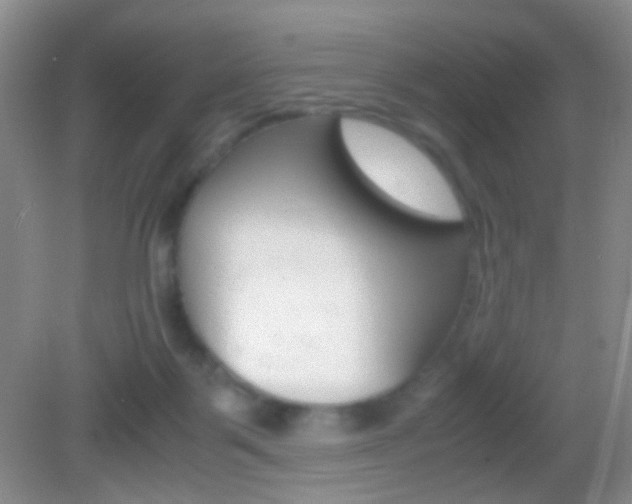 X0000082970123200702011152