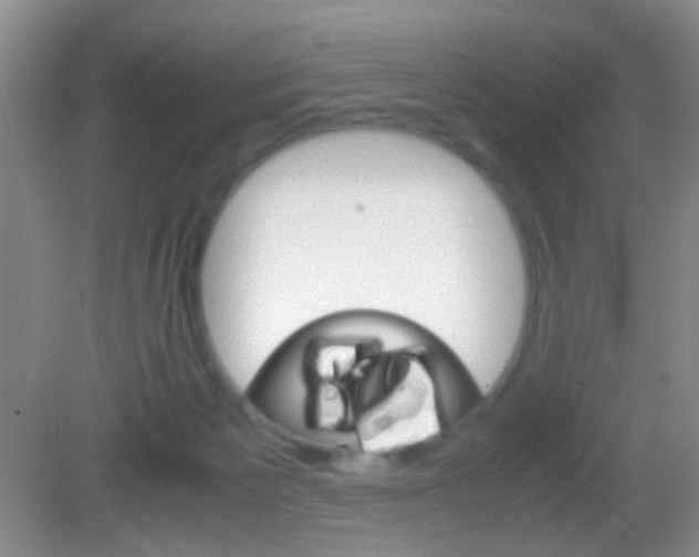 X0000082970125200702011152