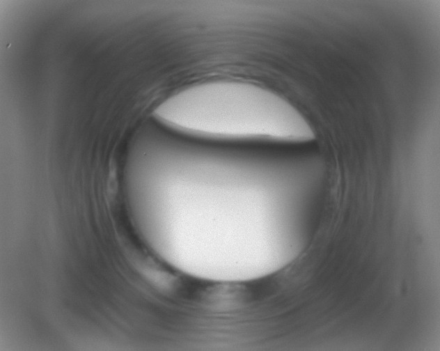 X0000082970128200702011152