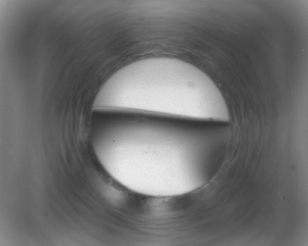 X0000082970136200702011152