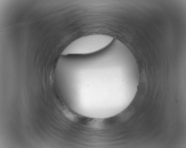 X0000082970138200702011152