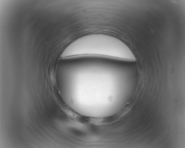 X0000082970143200702011152