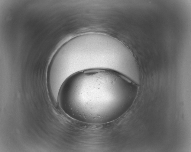 X0000082970148200702011151