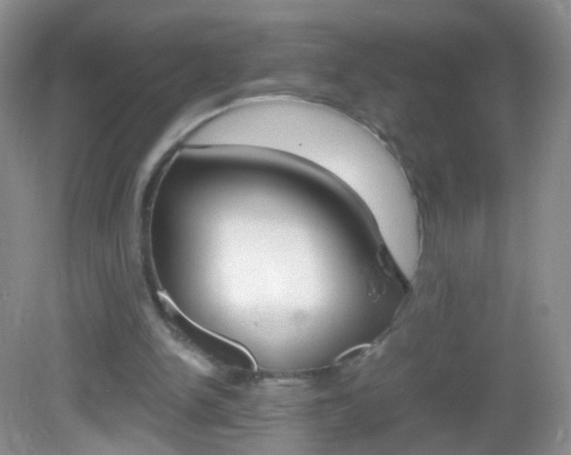 X0000082970150200702011151