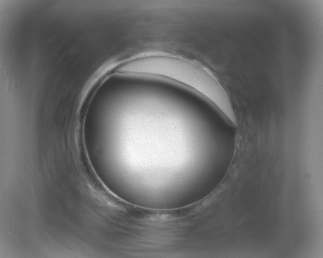 X0000082970152200702011151