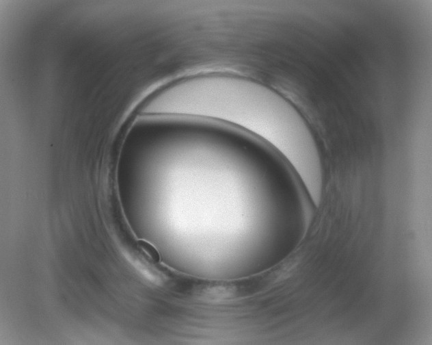 X0000082970156200702011151
