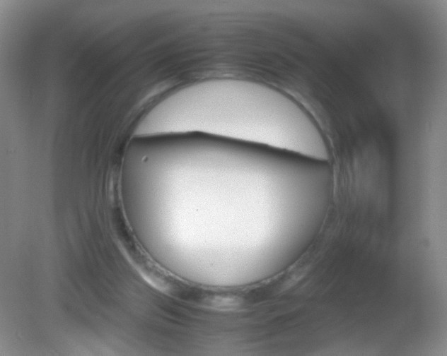 X0000082970157200702011151