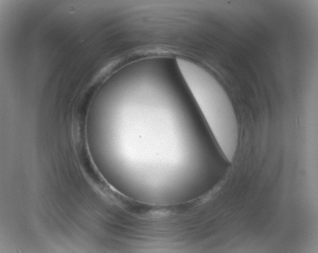 X0000082970158200702011151