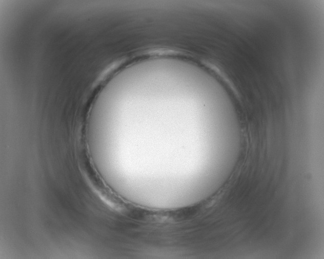 X0000082970159200702011151
