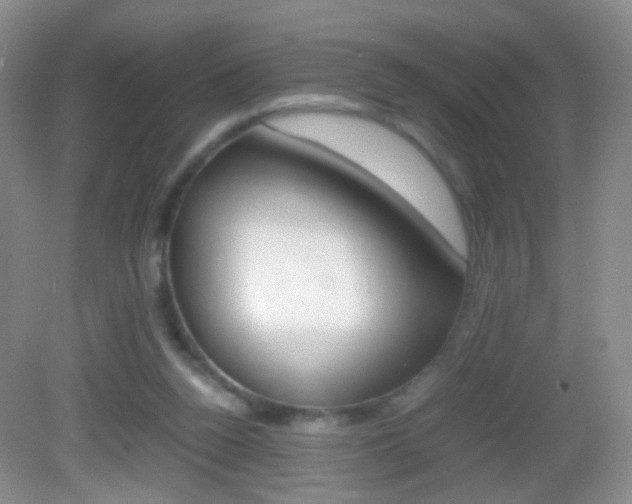 X0000082970160200702011151