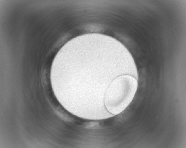 X0000082970162200702011151