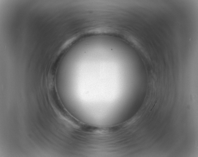 X0000082970164200702011151