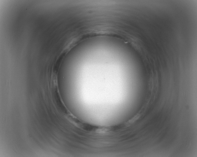 X0000082970172200702011152