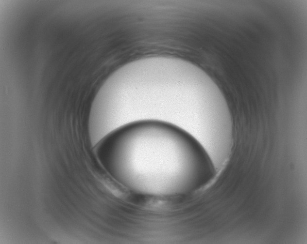 X0000082970174200702011152