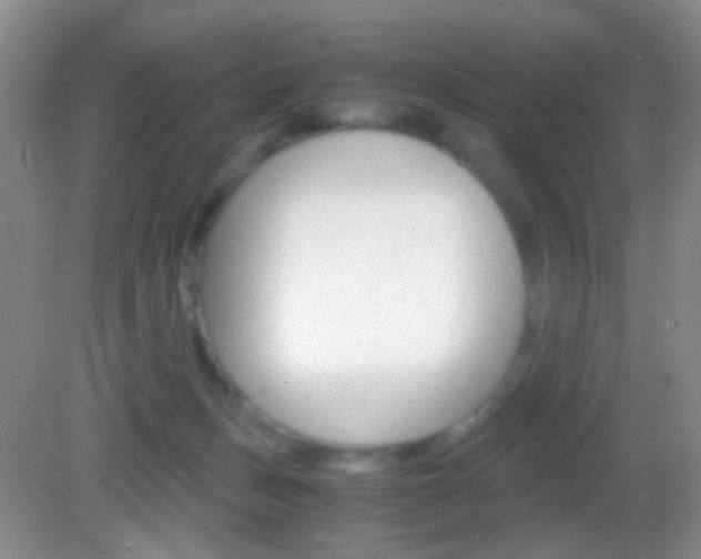 X0000082970175200702011152