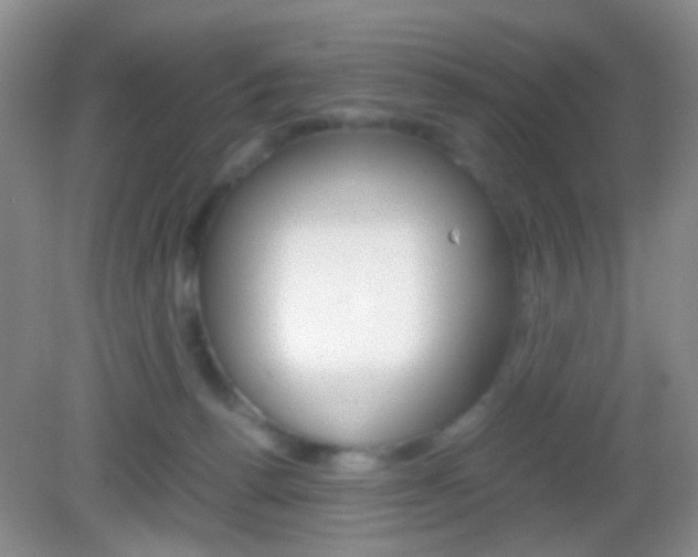 X0000082970176200702011152